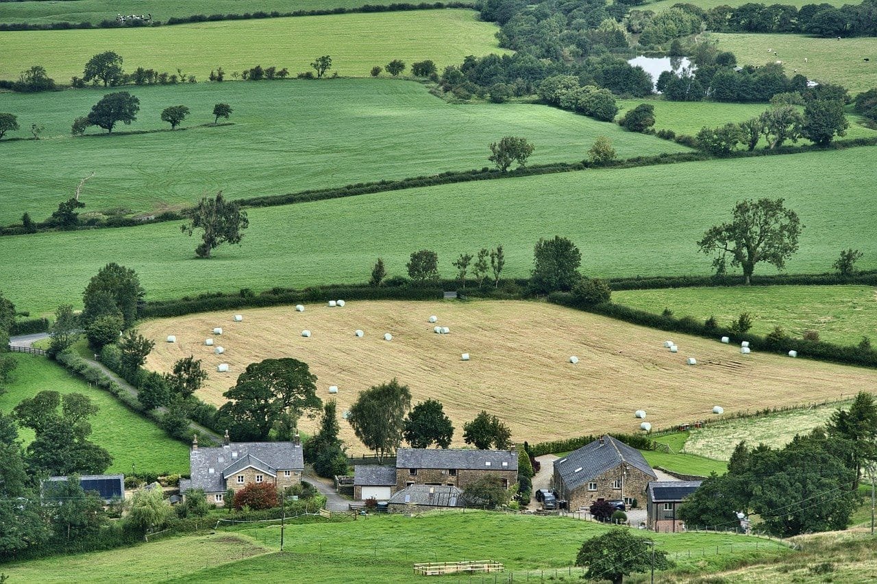 farming, agriculture, farm