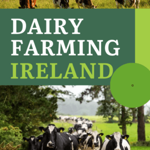 Dairy Farming Ireland